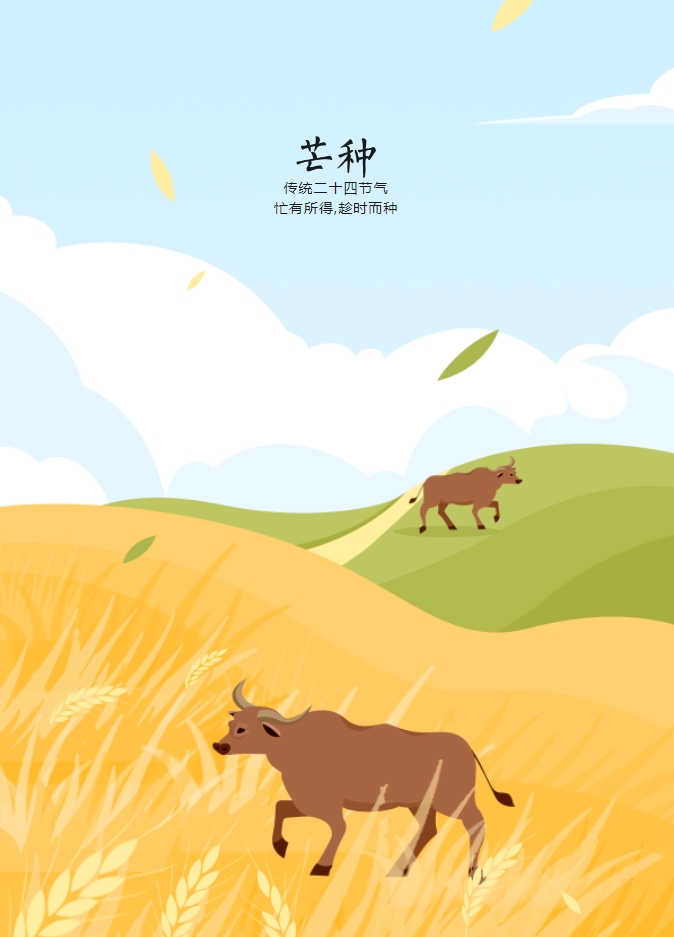 微信截图_20240605170308.png